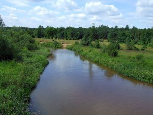 Rzeka Radomka