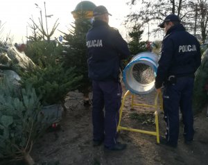 Policjanci podczas działań STROISZ 2019 kontrolują stoisko na którym oferowane są do sprzedaży świerki