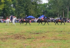 Pokaz koni służbowych podczas pikniku militarno - patriotycznego