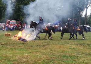 Próba pokonania ognia - pokaz koni służbowych