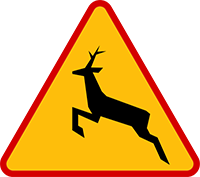 Trójkątny znak drogowy koloru żółtego z czerwoną obramówką. Na znaku widać jelenia w skoku